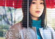 물은 바다를 향해 흐른다 The Water Flows to the Sea, 2024.720p.KORSUB.WEBRip.H264.AAC.torrent