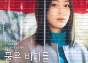 물은 바다를 향해 흐른다 The Water Flows to the Sea, 2024.720p.KORSUB.WEBRip.H264.AAC.torrent