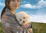 해피해피 Happy Happy, 2025.1080p.WEBRip.H264.AAC.torrent