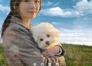 해피해피 Happy Happy, 2025.1080p.WEBRip.H264.AAC.torrent