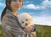 해피해피 Happy Happy, 2025.1080p.WEBRip.H264.AAC.torrent